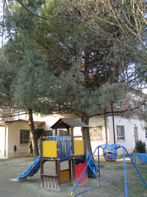 Roost gufi in pericolo ad Ostellato (Fe)
